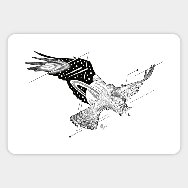 Hawk Magnet by cocotatts